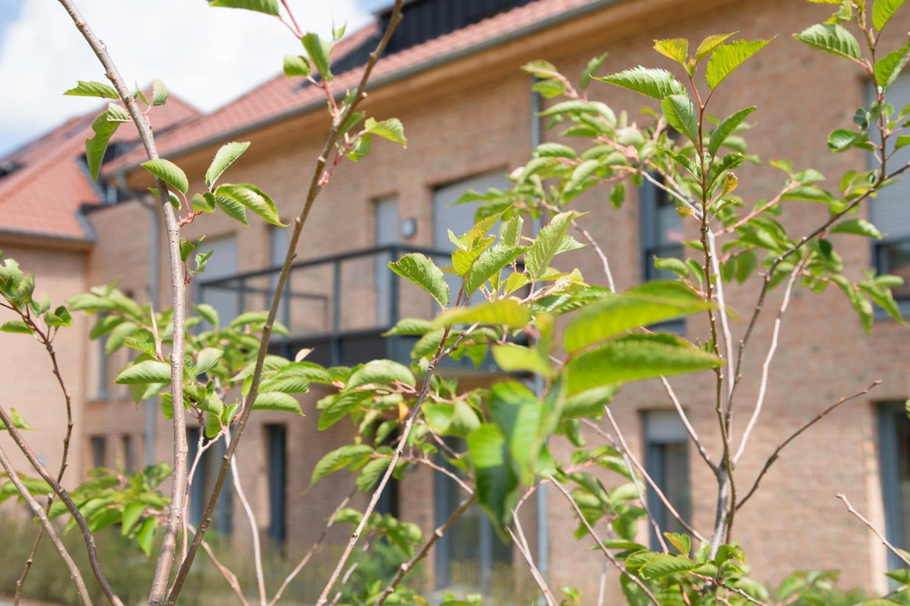Wohnen Am Suedstrand - Ferienwohnung 0 4 Wyk auf Föhr Exteriér fotografie