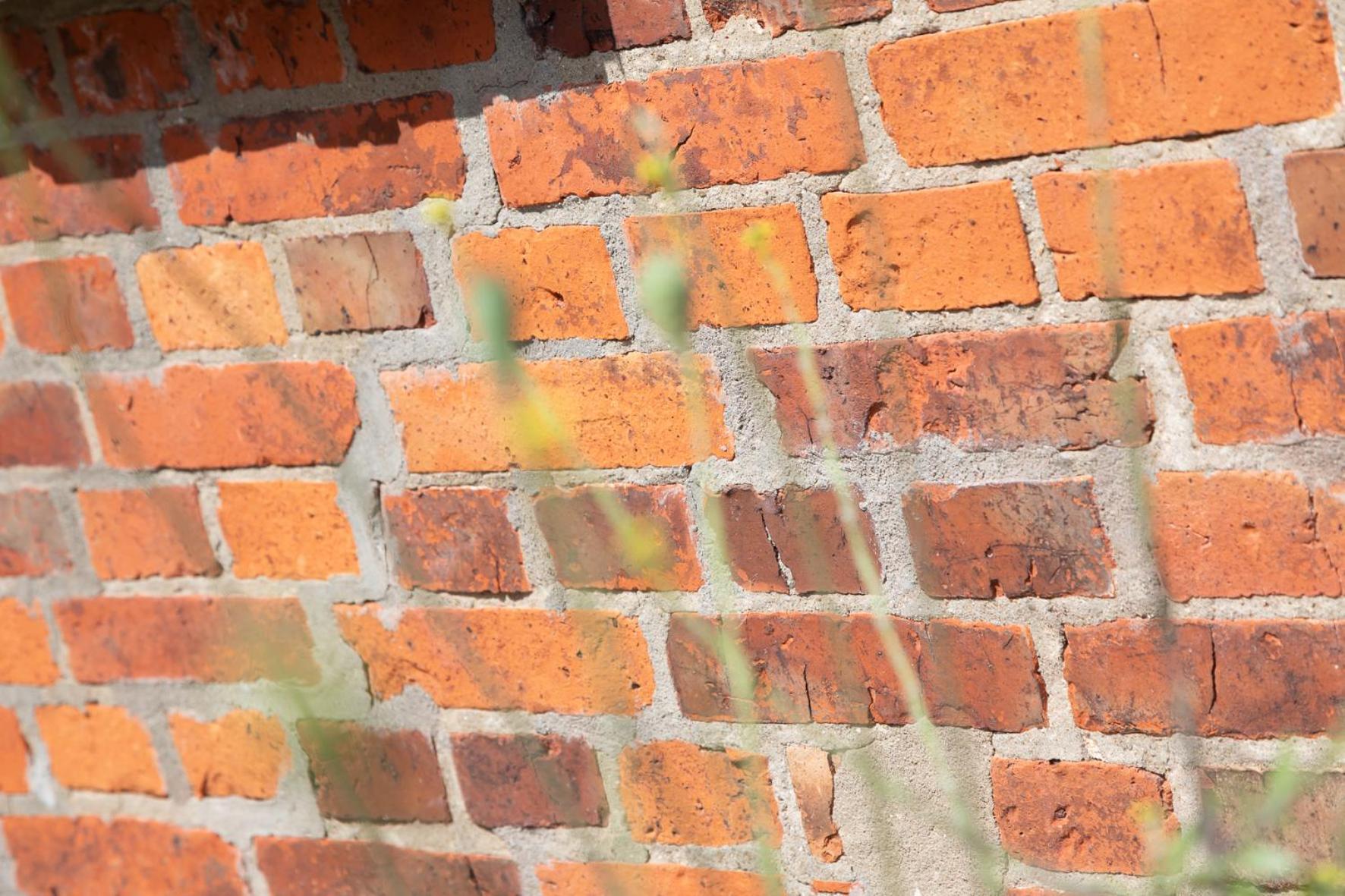 Wohnen Am Suedstrand - Ferienwohnung 0 4 Wyk auf Föhr Exteriér fotografie
