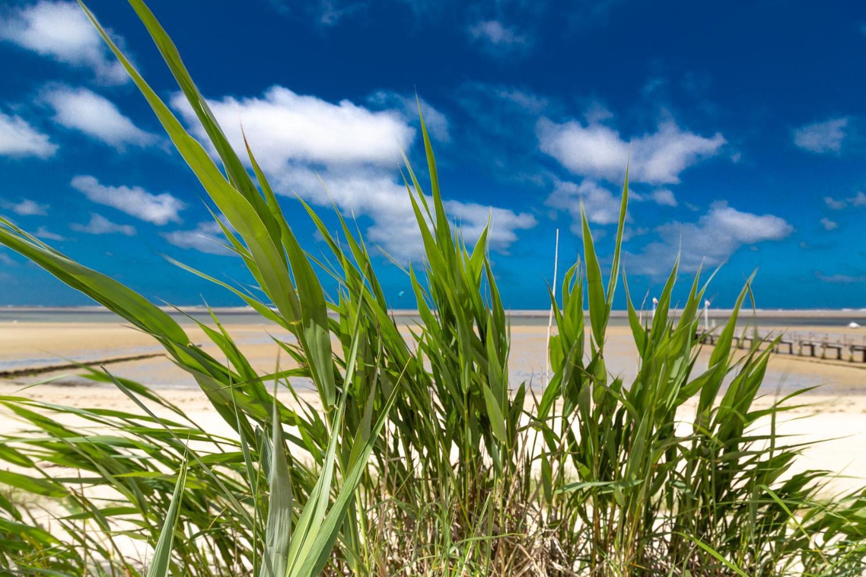 Wohnen Am Suedstrand - Ferienwohnung 0 4 Wyk auf Föhr Exteriér fotografie