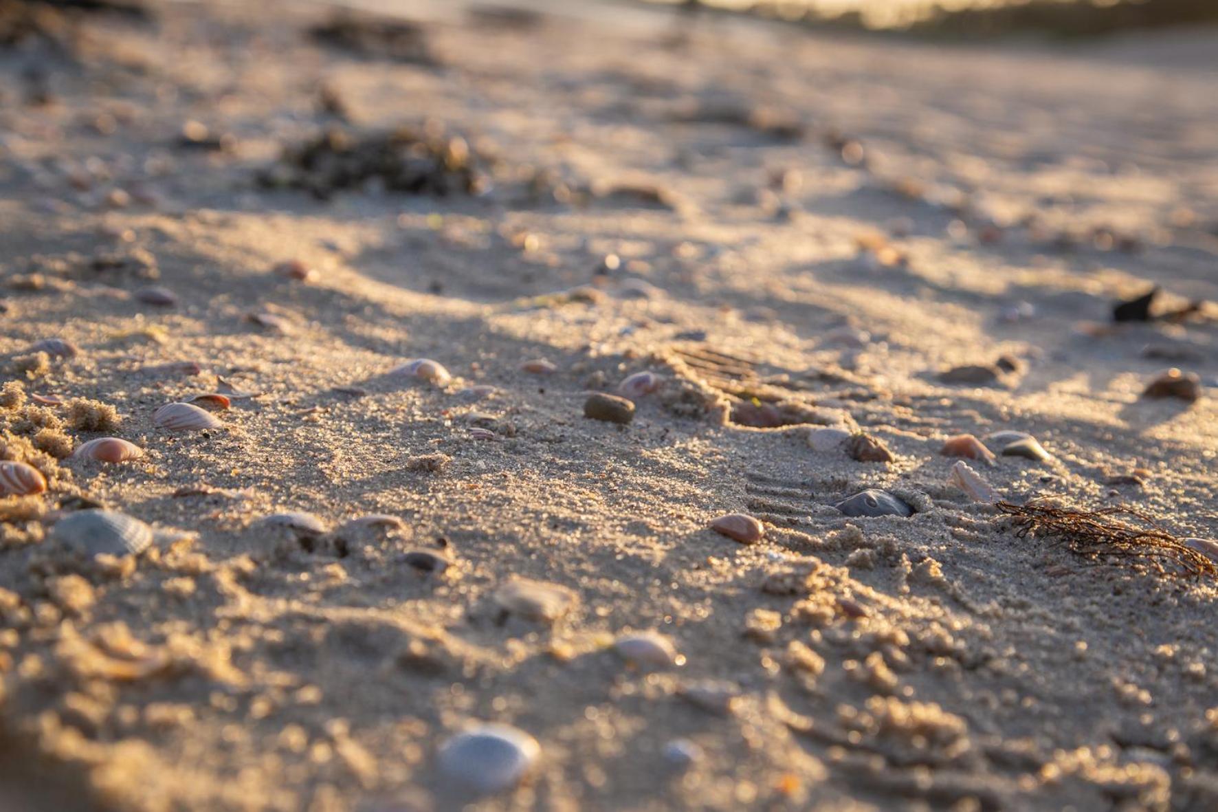 Wohnen Am Suedstrand - Ferienwohnung 0 4 Wyk auf Föhr Exteriér fotografie